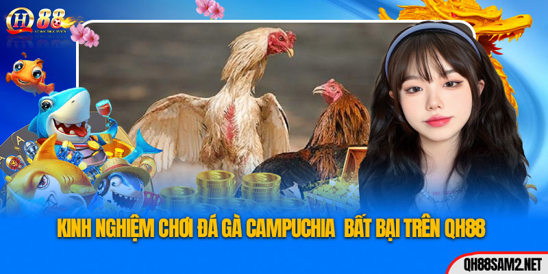 Đá Gà Campuchia Tại QH88 Kịch Tính Hấp Dẫn 2024