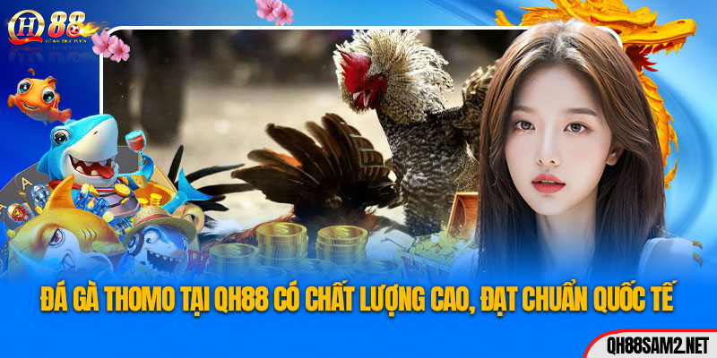 Khám Phá Sảnh Game Đá Gà Thomo Hấp Dẫn Tại QH88 