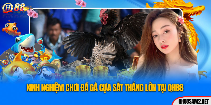 Đá Gà Cựa Sắt QH88 – Sân Chơi Giải Trí Trực Tuyến Đỉnh Cao 